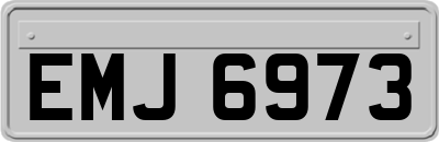 EMJ6973