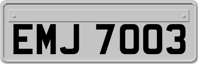 EMJ7003