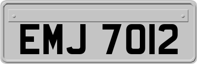 EMJ7012