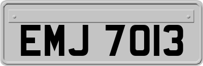 EMJ7013