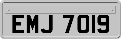 EMJ7019