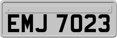 EMJ7023