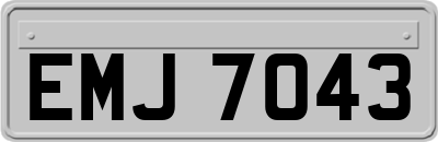EMJ7043