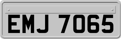 EMJ7065