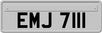 EMJ7111