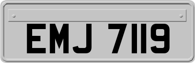 EMJ7119