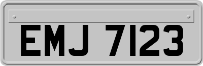 EMJ7123