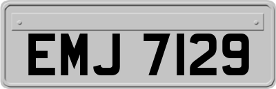 EMJ7129