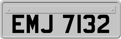 EMJ7132
