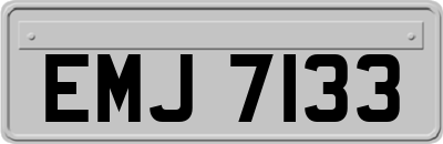 EMJ7133