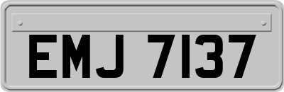EMJ7137