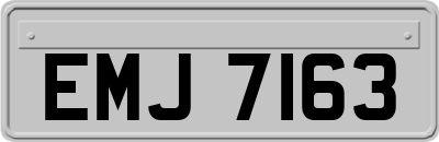 EMJ7163