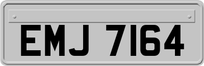 EMJ7164