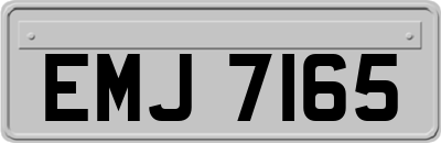 EMJ7165