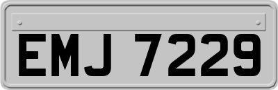 EMJ7229