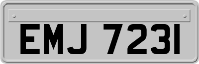 EMJ7231