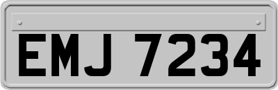 EMJ7234