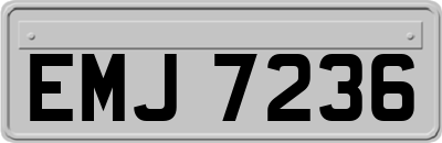 EMJ7236