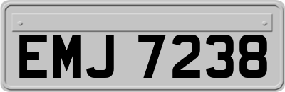 EMJ7238