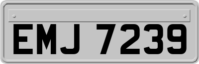 EMJ7239