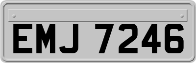 EMJ7246