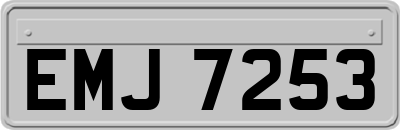 EMJ7253