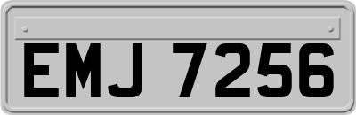 EMJ7256