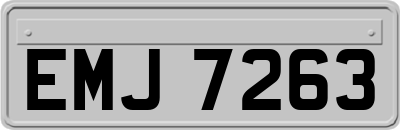 EMJ7263