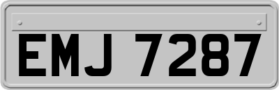 EMJ7287