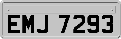 EMJ7293