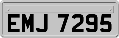 EMJ7295