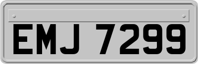 EMJ7299
