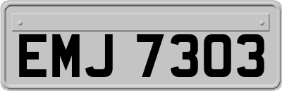 EMJ7303
