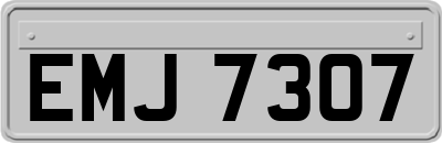 EMJ7307