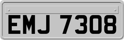 EMJ7308