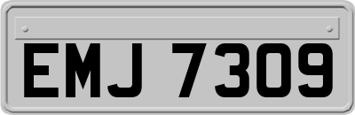 EMJ7309