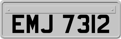 EMJ7312