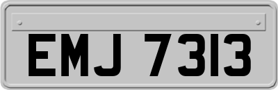 EMJ7313