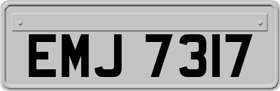 EMJ7317