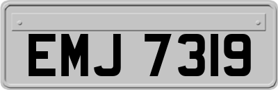 EMJ7319