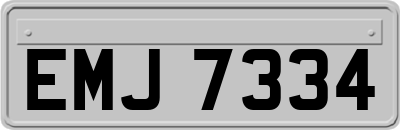 EMJ7334
