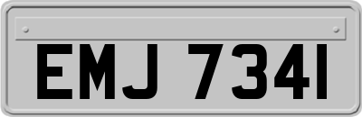 EMJ7341