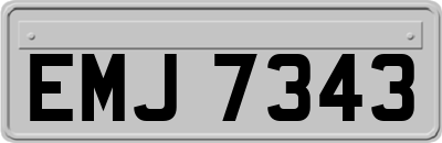 EMJ7343