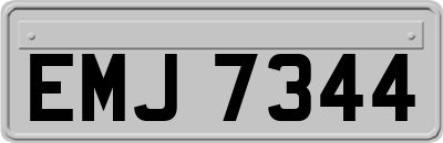 EMJ7344