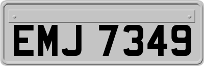 EMJ7349