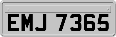 EMJ7365