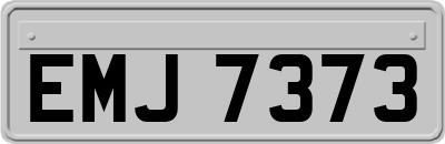 EMJ7373