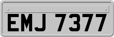 EMJ7377