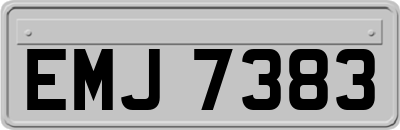 EMJ7383