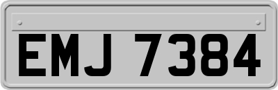 EMJ7384
